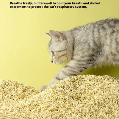 Pet Accessories Supply Dust-Free Natural Plant Tofu Cat Litter Biodegradable Eco-Friendly Clumping Sand