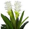 Dracaena Silk Plant Artificial 5ft Faux House Plants Evergreen Dracaena Marginata Fake Yucca Palm Trees in Pot