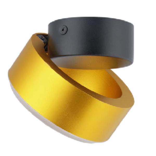 Gloden Adjustable angle mounted lighting downlight ceilling wall lamp fixture light in bedroom shops supermarket 12W