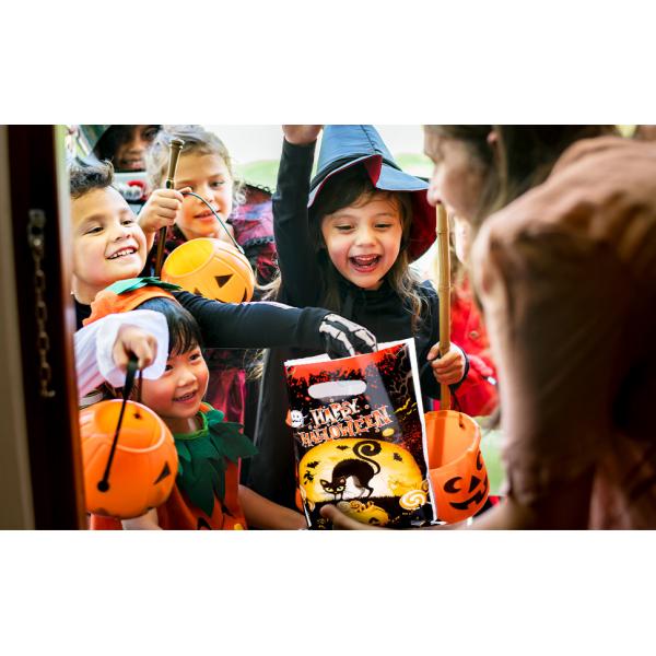 Halloween Party Favor For Kids Candy Goody Bag, Designs Plastic Trick Or Treat Goodie Bags, Halloween Loot Gift Bag