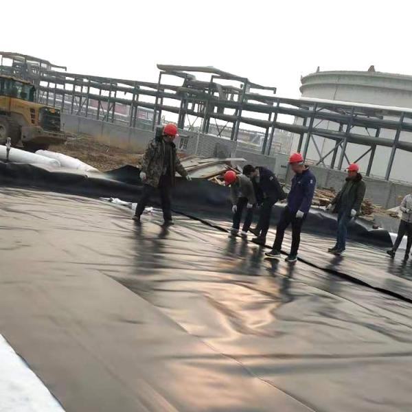 Anti-seepage HDPE Geomembrane Liner for Environmental Projects Material