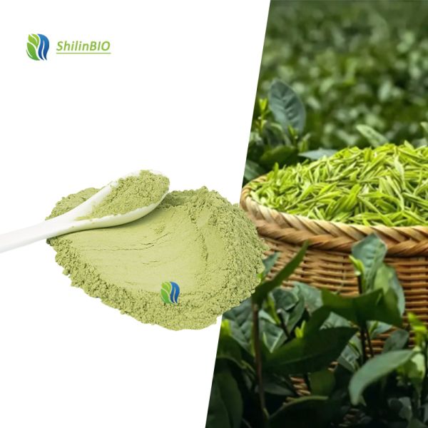High Quality Green Tea Powder Food Frade Matcha Green Tea Powder
