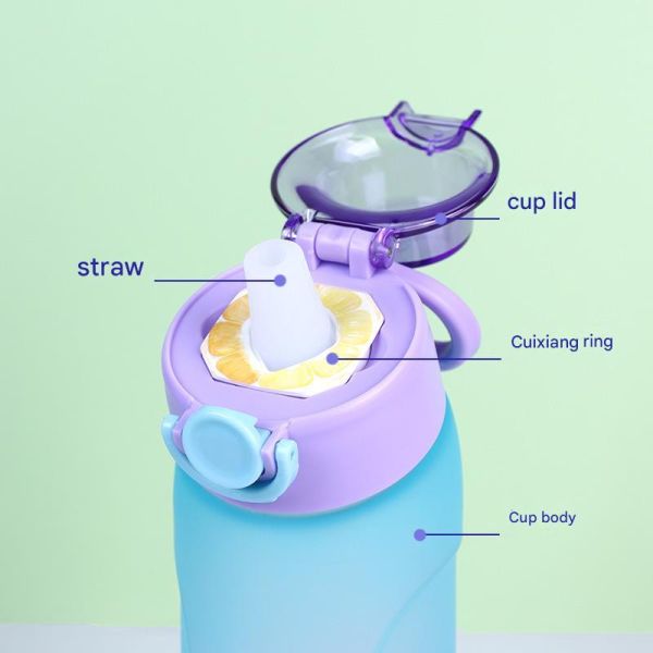 Bouteilles d'eau d'entraînement de 700 ml avec paille, écologiques, sans BPA, avec anneau parfumé et durables pour les besoins de votre entreprise