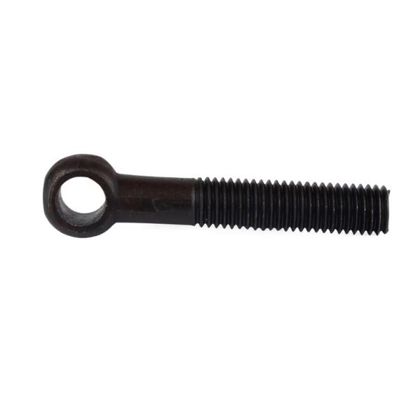 ISO9001 Certified DIN 444 Eye Bolt for Lifting Requirements
