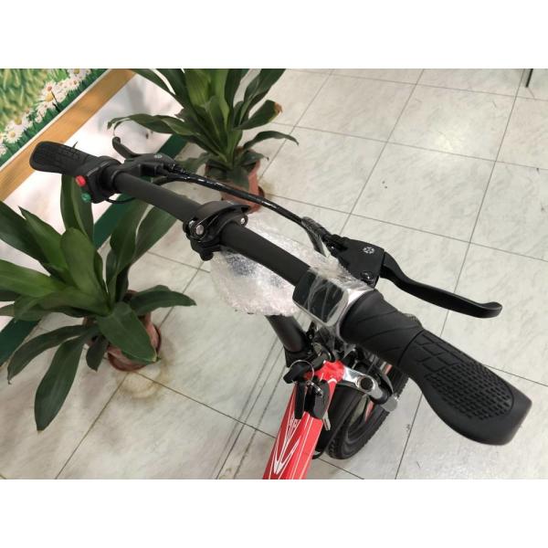 350w Folding Full Suspension Electric Bike P160 16 Inch 36v Lightweight 22.5kg RICHBIT