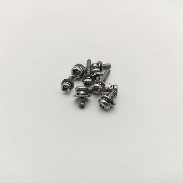 A4-70 SS パンヘッドスクリュー 316 ステンレススプリング + フラットウォッシャー 塩水耐性 オーダーメイド