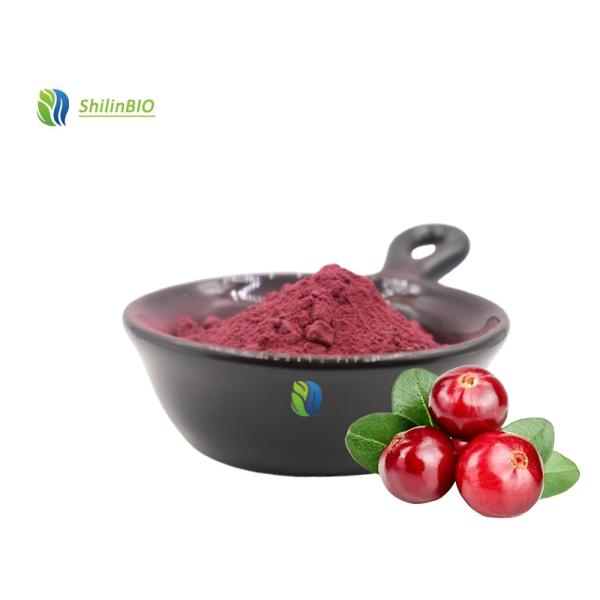 Poudre d'extrait de canneberge naturelle pure, poudre de fruit de canneberge, anthocyanes, poudre de canneberge