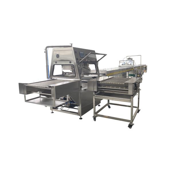 Coating Industrial Chocolate Enrober Machine Cookies Line 304 Stainless