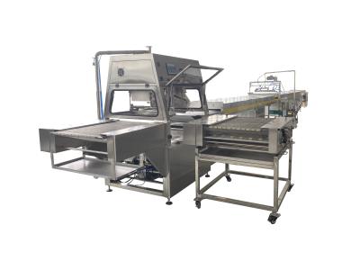 Industrial Chocolate Coating Machine For Cookies