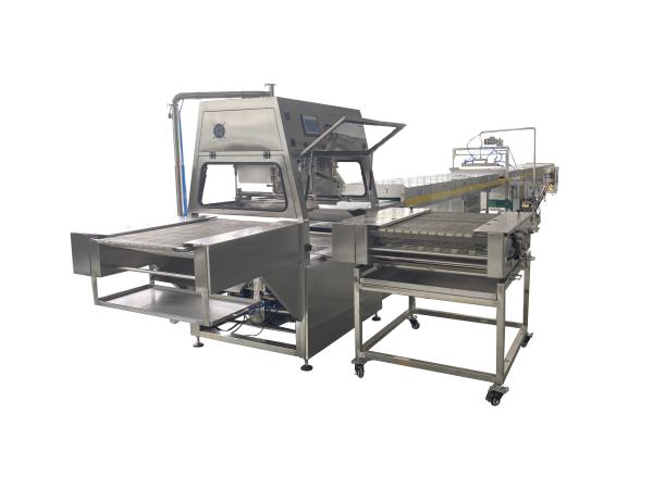 Papa P400 6-Row Protein Bar Production Line High Capacity Industrial System For Mass Production Of Protein Bars Energy Bars Or Similar Products