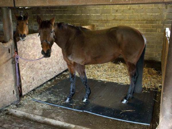 Wear Resistant 17mm Stable Mats High Density Floor Mats For Horse