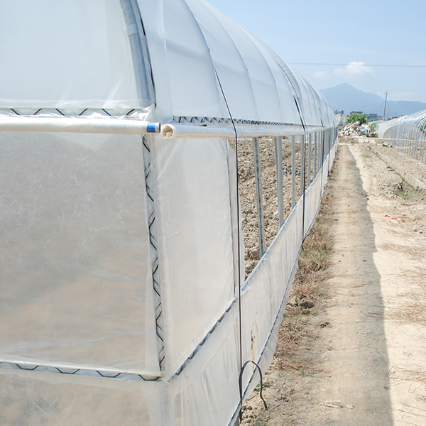 Transparent PE Agricultural Film & Greenhouse Cover Small Single-Span Film Roll with Anti-Aging for Agriculture