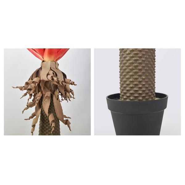 Thick Leaves Artificial Potted Flower Aloe Indoor Decor Realistic Appearance Plant
