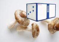 76KW a rectifié la pompe à chaleur de source pour la plantation agricole de serre chaude de champignon