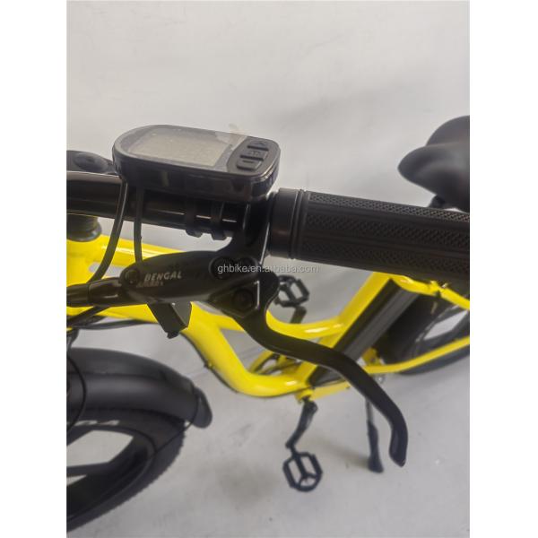 26 Inch Fat 4.0 Tire 48V 750W 45KM/H 21AH Electric Beach Cruiser Bike with LCD Display