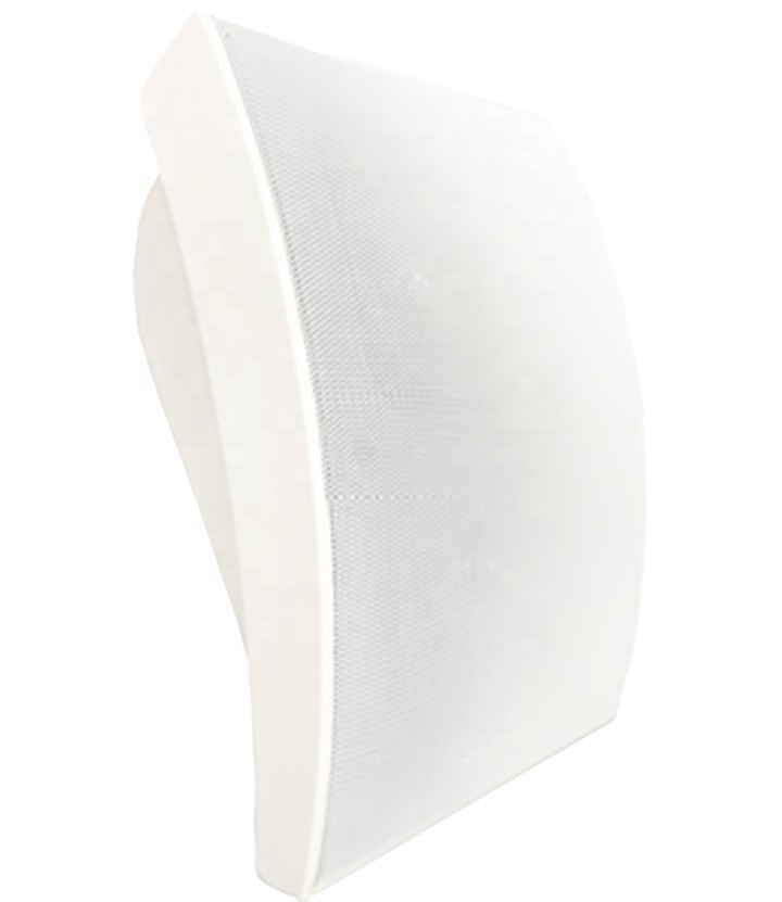5W 10W Wall Speaker 4 Inch Woofer 1 Inch Tweeter ABS Speaker