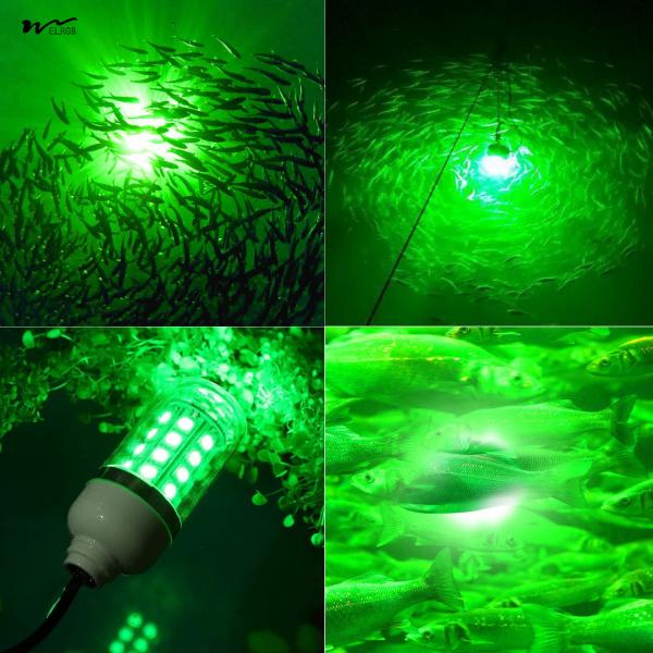 Acrylic Shade Material 12V 10W/45W LED Submersible Fishing Light for Squid and Shrimp