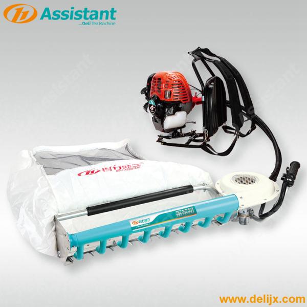 DL-4C-H3 Portable Gasoline Tea Plucking Machine for Precise and Smooth Tea Harvesting