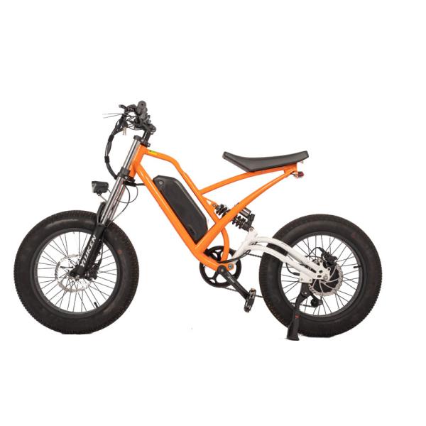 750W Off-Road Electric Fat Tire Bike with 48V 13Ah Lithium Battery and 180kg Load Capacity