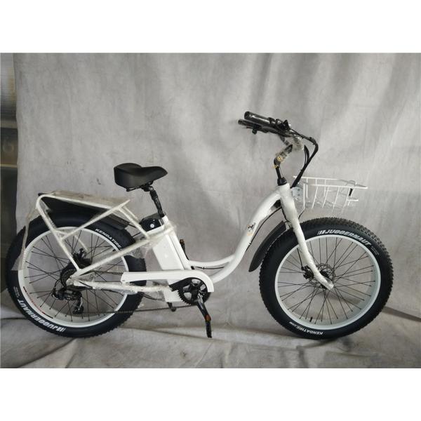 KT Controller 2024 250W 24V 10.4 A PAS Single Speed Electric Bike with Hidden Battery