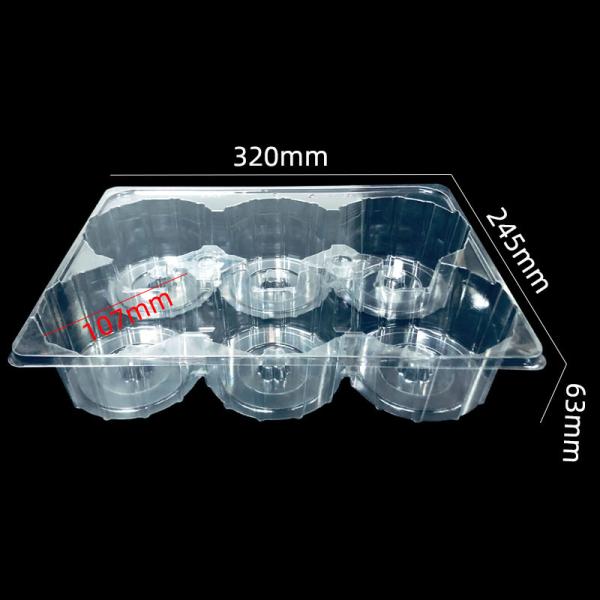 Custom PET Plastic Blister Tray 6-Slot for Gear Storage
