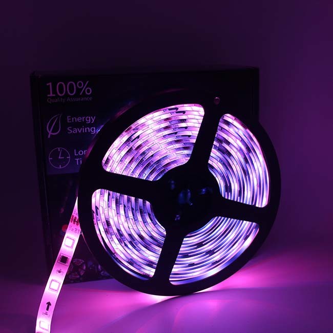 света прокладки СИД 5m DC12V 36W Dreamcolor