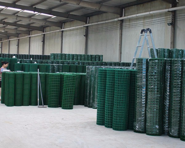 Galvanized+PVC Coated 50x50mm Mesh Size 10m-100m Roll Length Welded Wire Fence and Euro Wire Mesh Fence