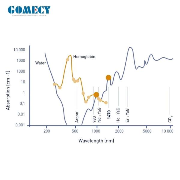 Gomecy Medical Class IV Diode 980nm 810nm Laser Therapy Machine for EVLT and Function 3 Endolift Double Chin Slim