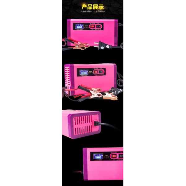 Умный свинцовокислотный Dc заряжателя 220v тонкой струйки батареи мотоцикла для электрического скутера