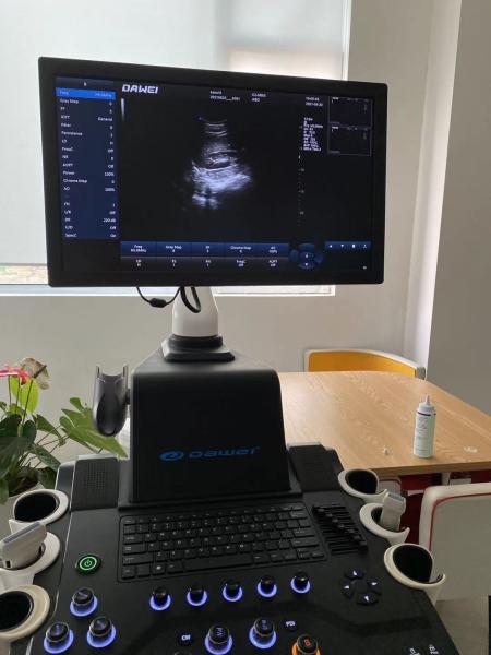 GH-F5pro3D Home Fetal Ultrasound Machine Echographe Equipment For Obsteristic Gynecology