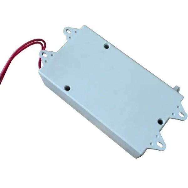 200-300 mg/hr Ozone Output Ozone Generator Cell for Fruit and Vegetable Detoxification