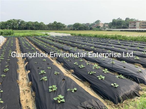 PP Spunbond Weed Barrier Fabric