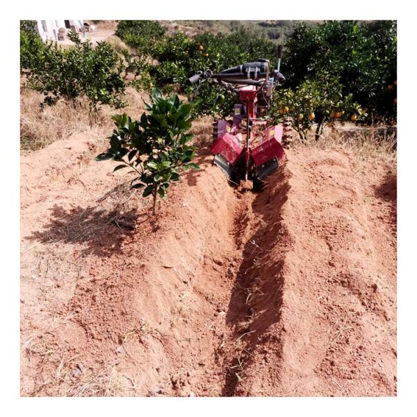 Farming Machine High Safety Level Diesel Mini Power Tiller with Tilling Width Over 10cm