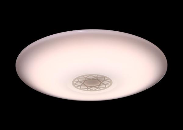 220V 56W Indoor Ceiling Light Fixtures Low Power Consumption No Blue Light Hazard