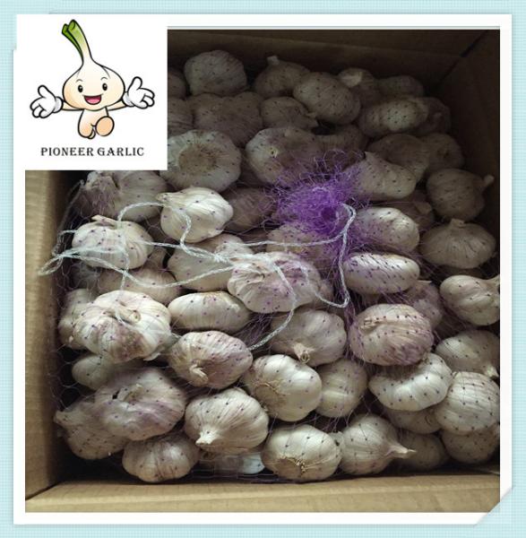 2016 New Crop Fresh Garlic Exporting Chinese Garlic In Small Pack