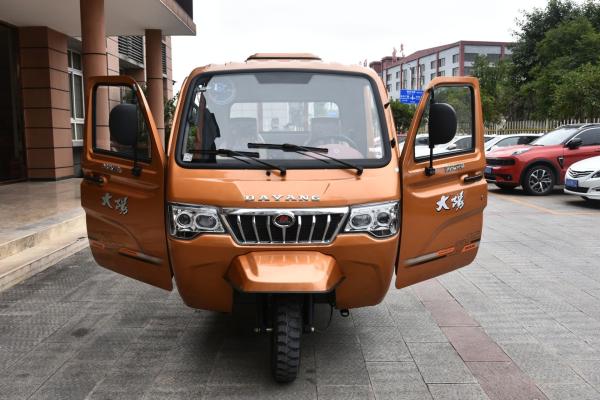 Motor Lifan reversível de 200cc Motocarro Van de entrega com triciclo de carga de cabine fechada