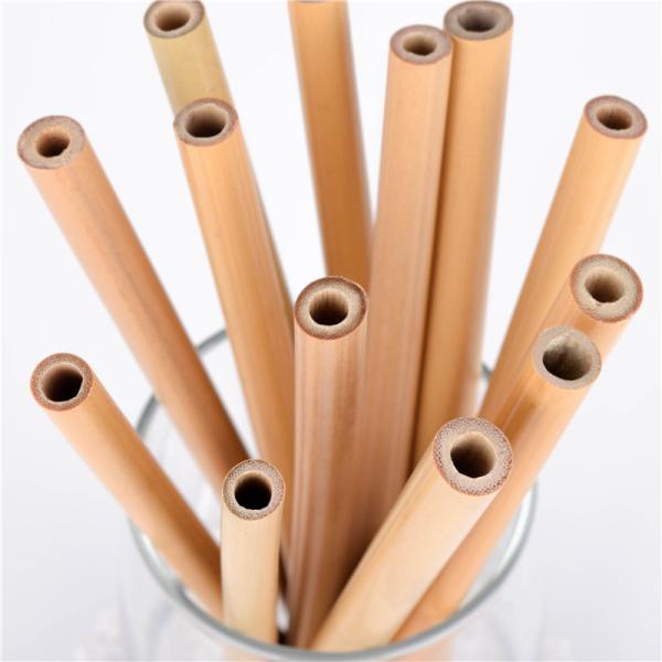 Customization Biodegradable Kitchen Accessories Set with Eco Friendly Reusable Straws