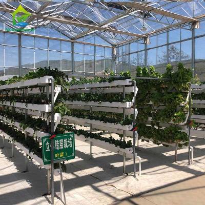 Equipamento de cultivo hidropônico de jardinagem Soilless personalizado do vertical dos sistemas