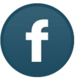 Bicosyn Solar LED Garden Light -High lumen 140lms/w black Smart Auto Lighting Solar Battery Charging IP65 Water Proof