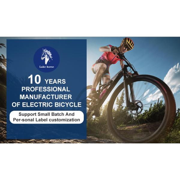 Full Shockingproof Frame 26