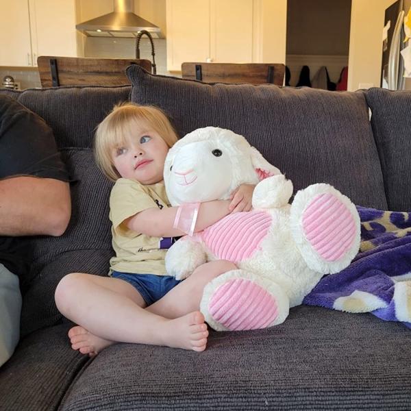 No Irritation 20cm PP Cotton PV Velvet Sheep Plush Toy