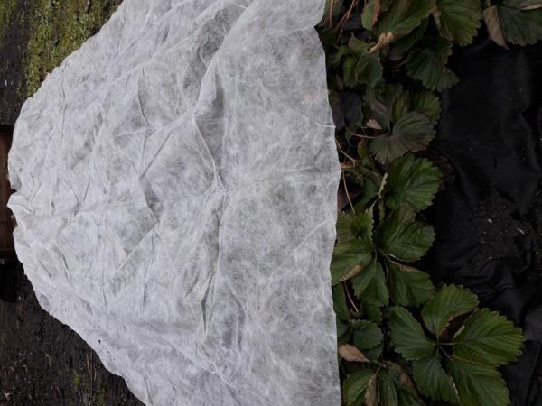 Material 100% não tecido alto do polipropileno do Virgin da tela da agricultura da tensão
