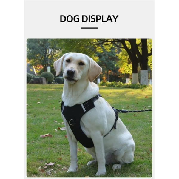 Pet Anti breakaway Harness Reflective Multifunctional Anti Lost Harness For Large Dog