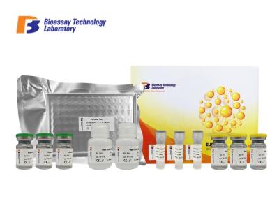 Laboratory Research TK1 Canine ELISA Kits Thymidine Kinase 1 Soluble ELISA Kit 96 Well Plate