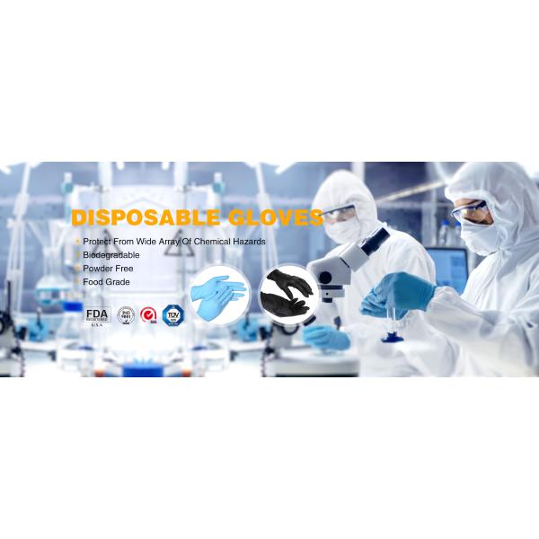 Jiangsu Champion Supply Chain Management CO.,LTD