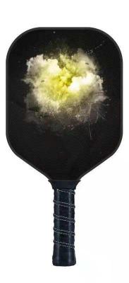 Aramid Fiber Portable Pickleball Net OEM Pickleball Paddles And Net