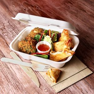 Compostable Party Tableware