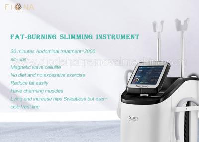 Beauty Salon Body Slimming Machine 30 Minutes Abdominal Treatment 65kg Weight