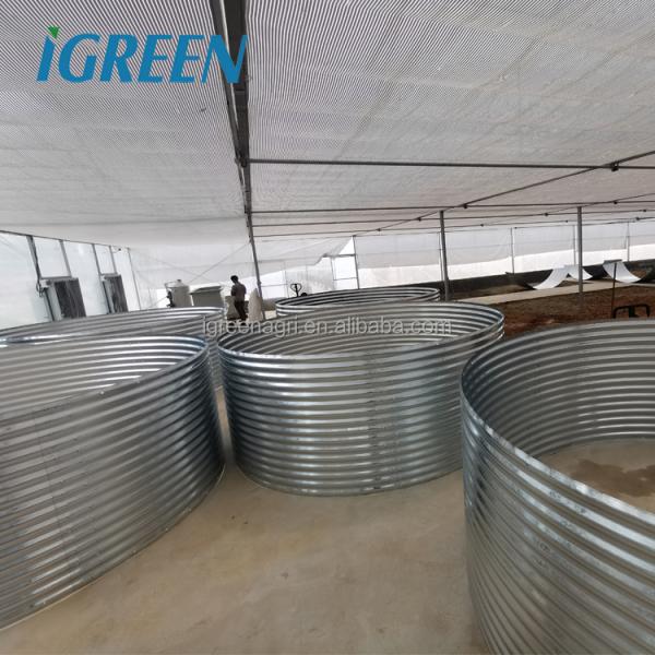 Customized Shape Corrugated Galvanized Steel Fish Pond Fish Tank PVC Tarpaulin for RAS Recirculating Aquaculture System IGREEN