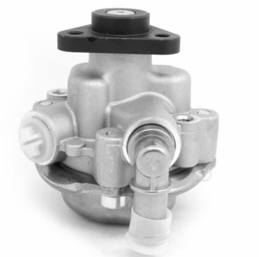 32416760036 32416760034 67504239 Power Steering Pump For BMWs E46